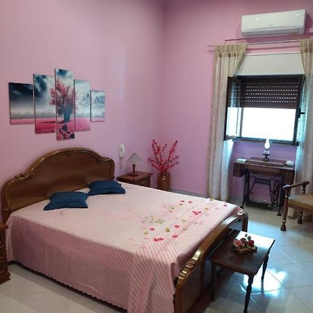 Nonno Ciccio Apartment 利扎诺 外观 照片