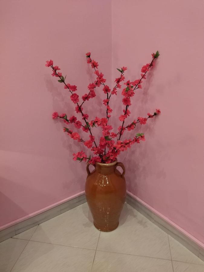 Nonno Ciccio Apartment 利扎诺 外观 照片